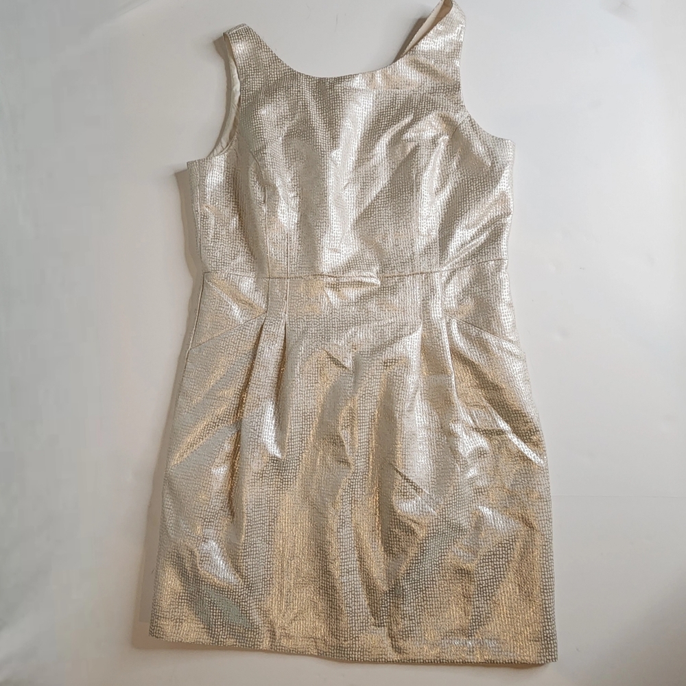 Dalia Silver Midi Dress